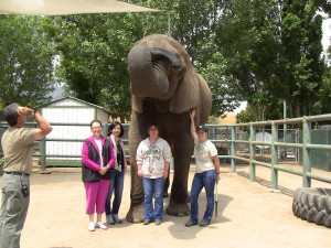 Elephant Day 1 6-4-13 029